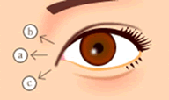 fig3
